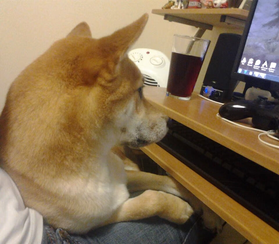 孙兴慜，从地狱到天堂，一脚将自我与曼城送上救赎之巅