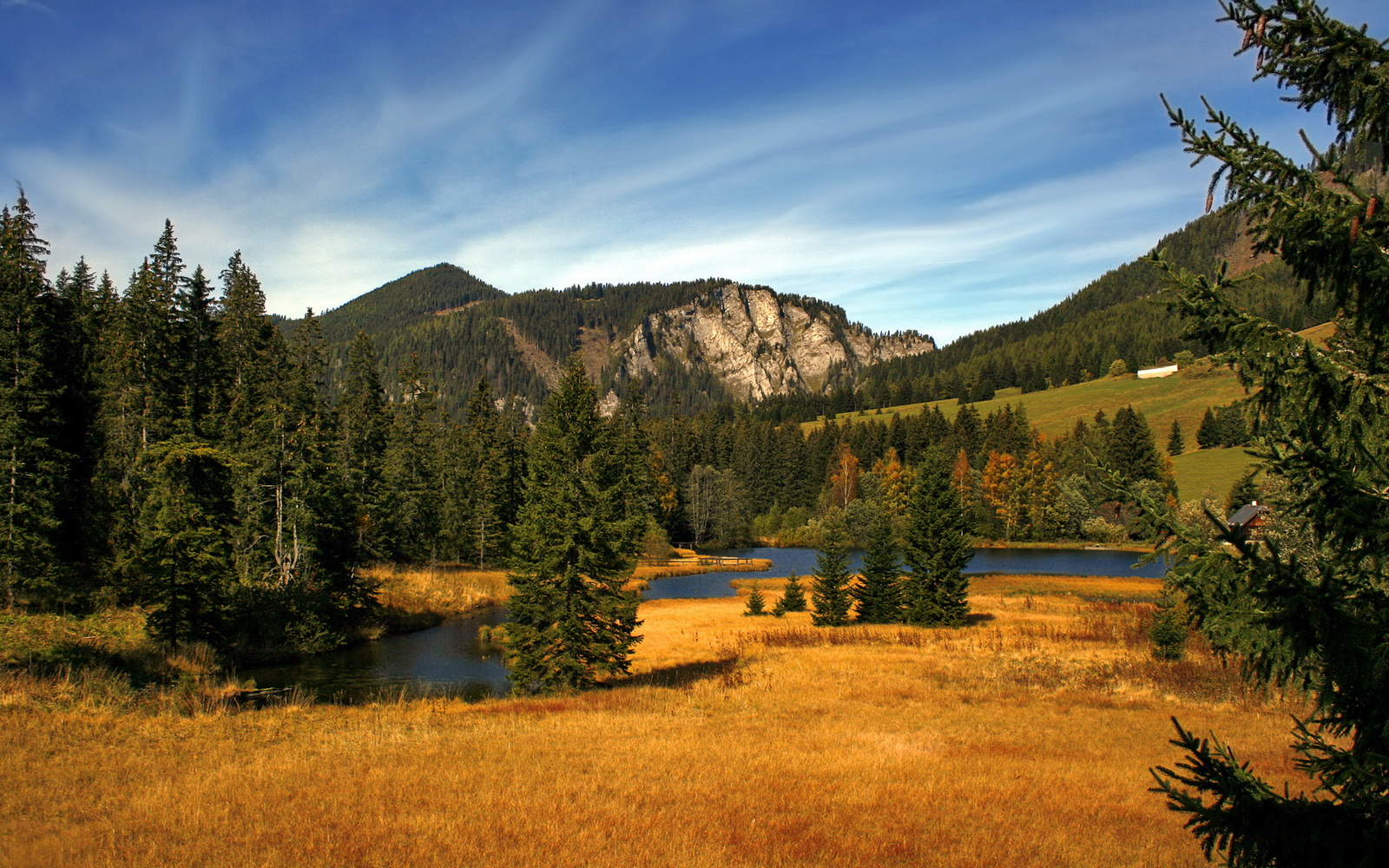 猛龙火力系统全功率运转，马克西化身终极尖刀撕碎老鹰防线
