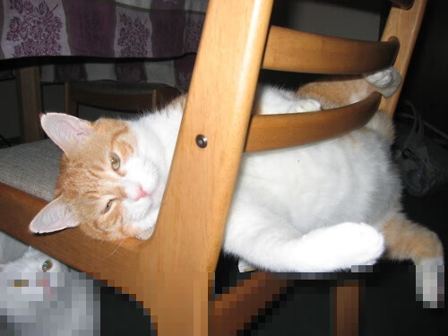 双城速度之夜，街道缠斗与篮下碾压