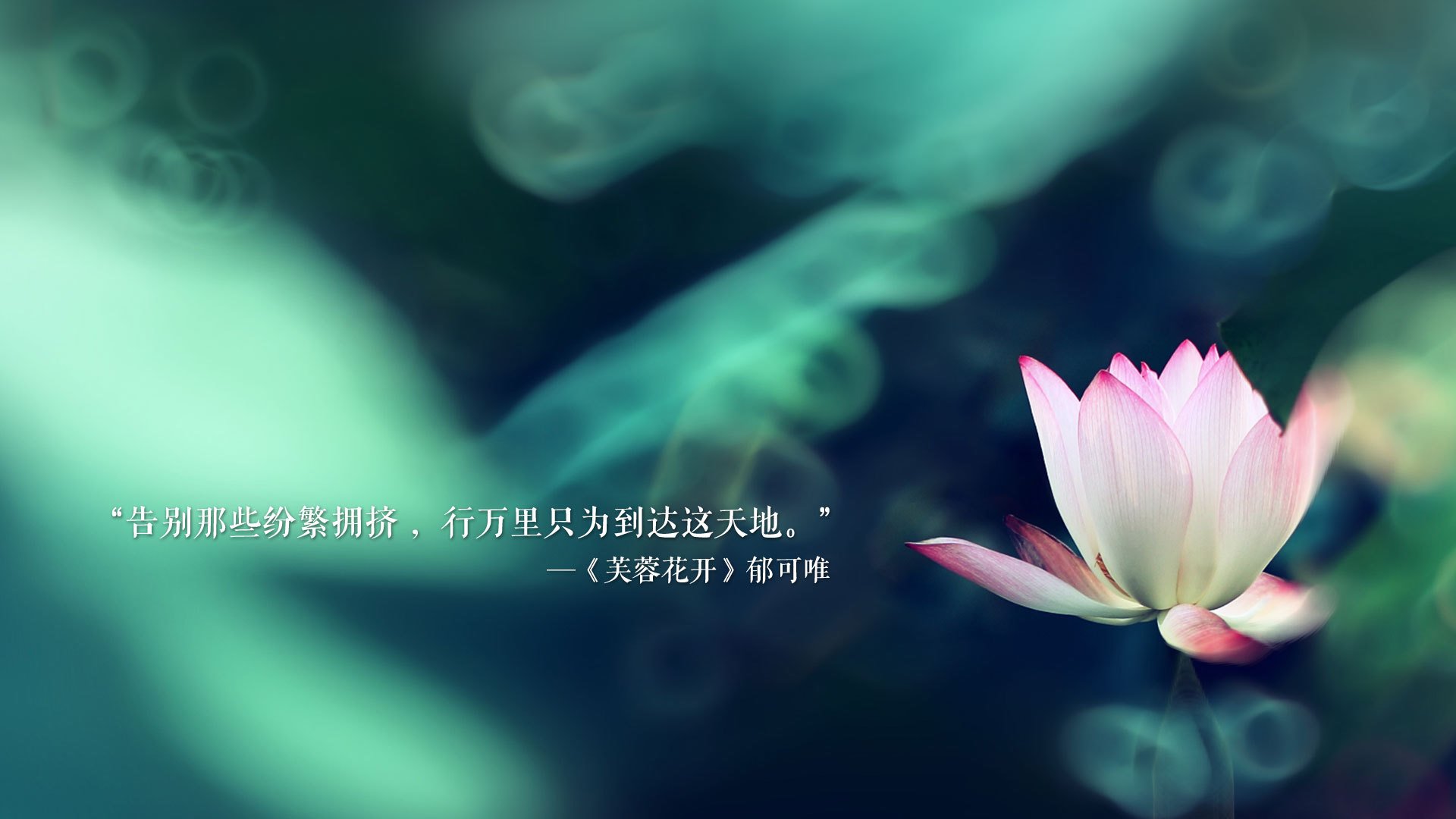 孤星耀世,当德布劳内把2026世界杯变成一个人的狂想曲